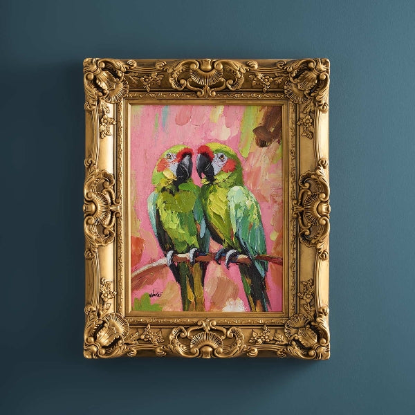 Bild Papagei - Papagei Bild