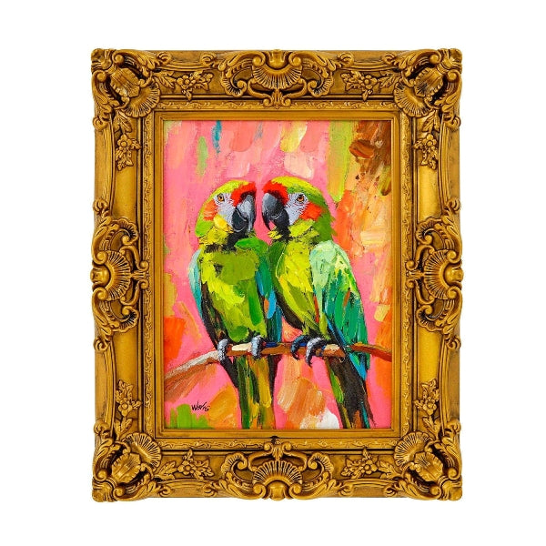 Bild Papagei - Papagei Bild